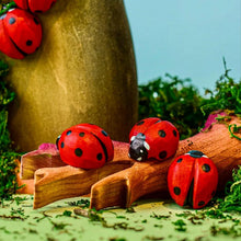 Bumbu Toys Ladybug