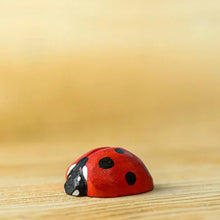 Bumbu Toys Ladybug