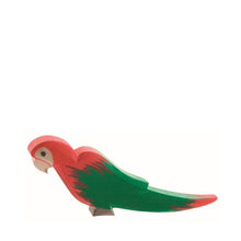 Ostheimer Parrot - Red