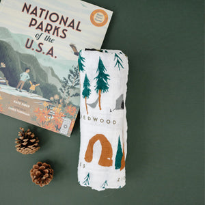 Clementine Kids Swaddle - National Parks