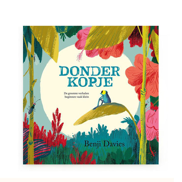 Donderkopje by Benji Davies - Dutch