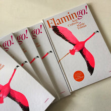 Flamingo! by Kim Crabeels and Marije Tolman - Dutch