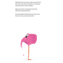 Flamingo! by Kim Crabeels and Marije Tolman - Dutch