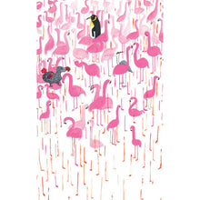 Flamingo! by Kim Crabeels and Marije Tolman - Dutch