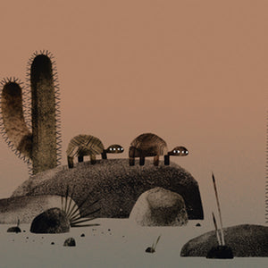 We Hebben Een Hoed by Jon Klassen - Dutch