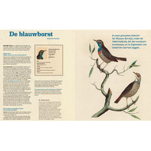 Het Heel Grote Vogelboek - Bibi Dumon Tak