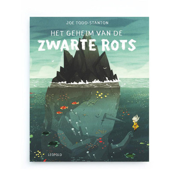 Het Geheim van de Zwarte Rots by Joe Todd-Stanton - Dutch