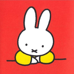 Een Cadeau voor Opa Pluis by Dick Bruna – Dutch