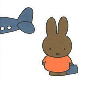 Nijntje en Nina by Dick Bruna – Dutch