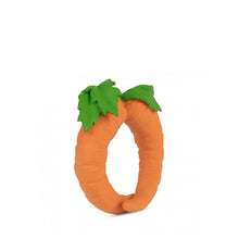 Oli and Carol Cathy the Carrot