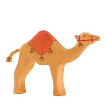 Ostheimer Dromedary with Saddle