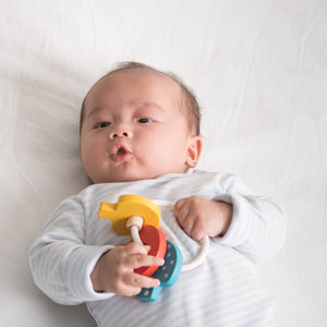 Plan Toys Baby Key Rattle