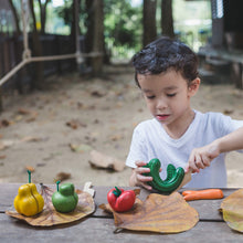 Plan Toys x Kromkommer Crooked Shaped Fruit & Vegetable Set