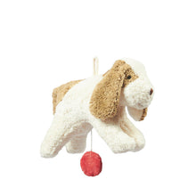 Senger Naturwelt Music Box - Dog