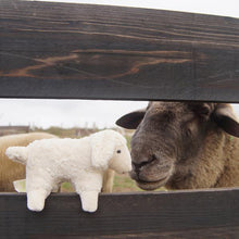 Senger Naturwelt Animal Kid - Sheep